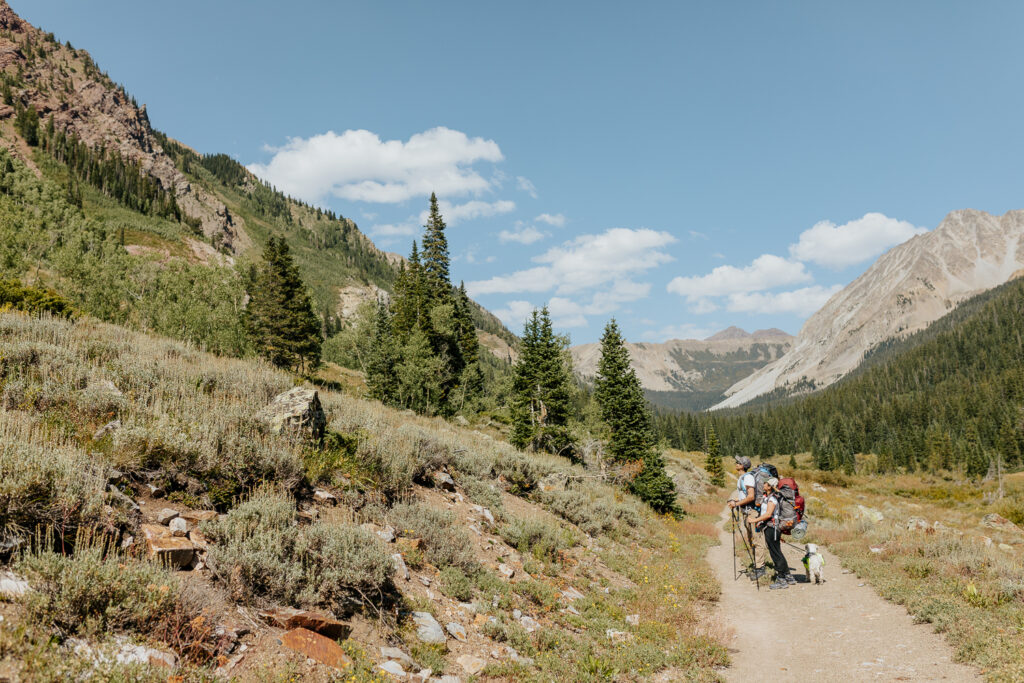 Anyeli and Alex hiking through the vibrant wildflowers during their adventure elopement.